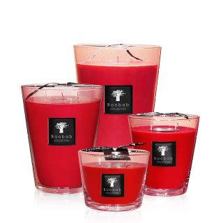 Baobab all seasons masaai spirit