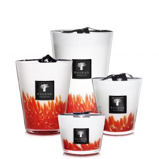 Baobab feathers masaai