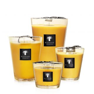 All seaons zanzibar spices