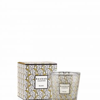 My first baobab BRUSSELS ET BOITE