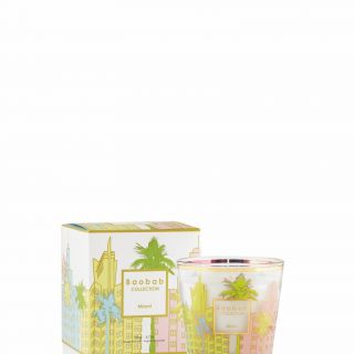 My first baobab MIAMI ET BOITE