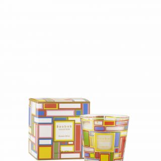 My first baobab OCEAN DRIVE ET BOITE