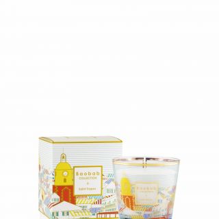 My first baobab SAINT TROPEZ ET BOITE